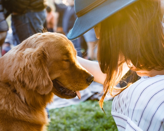 woman with her dog in the park