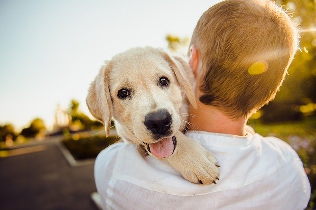 vet care in louisiana