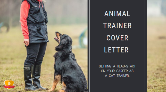 Animal Trainer Cover Letter