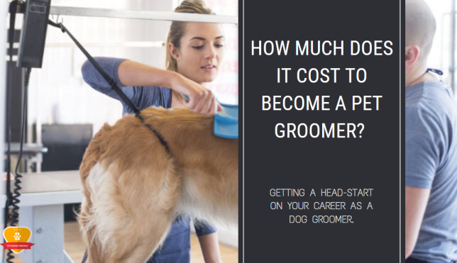 How Much Does It Cost to Become a Pet Groomer?