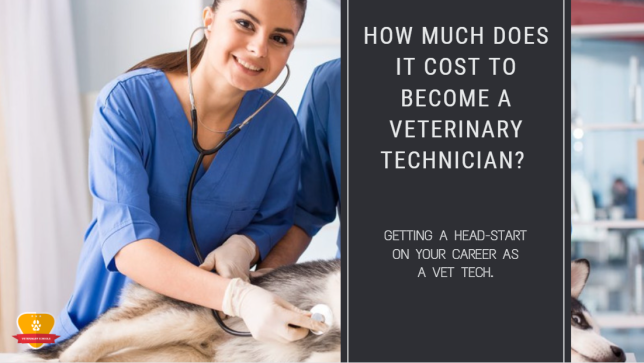How Much Does It Cost to Become a Veterinary Technician?