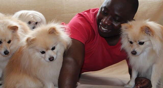 man surrounded by his beloved maltese