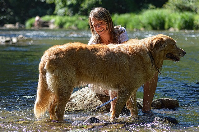 bathing a dog in the river