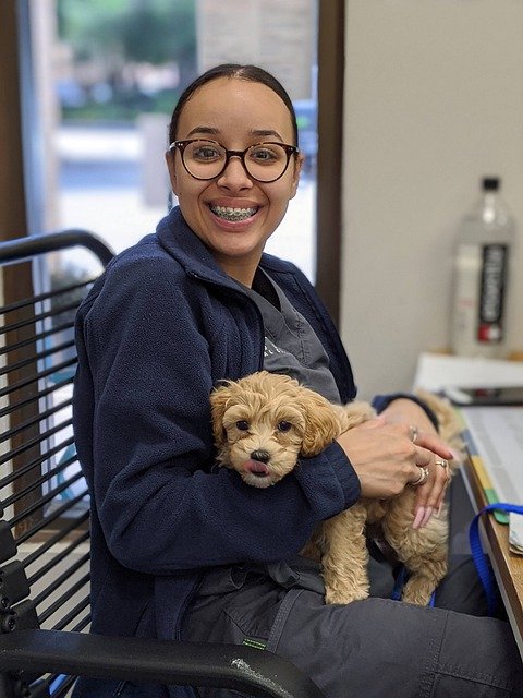 vet assistant caring for a dog