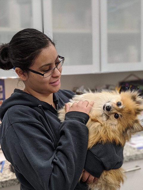 providing basic animal care at the vet clinic
