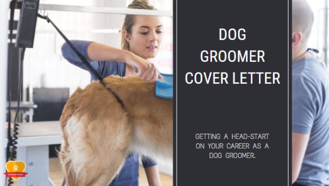 Dog Groomer Cover Letter