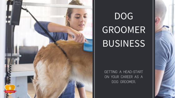 Dog Grooming Business