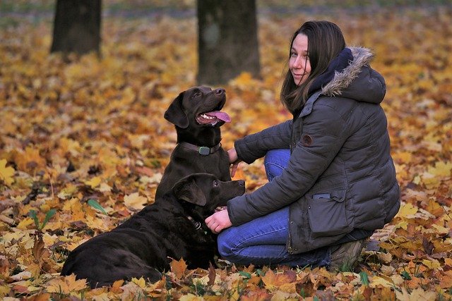a girl training her dogs