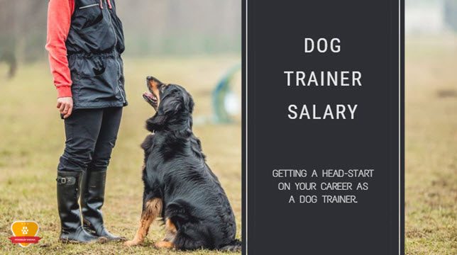 dog trainer salary