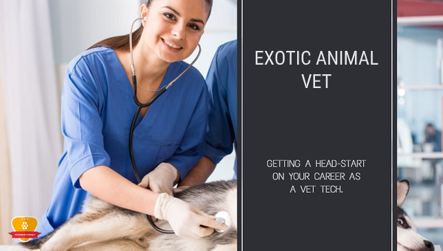 Exotic Animal Vet