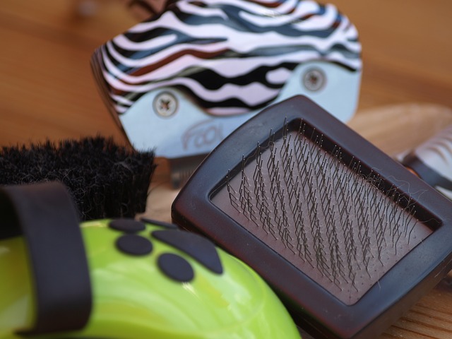 Pet Brush, Equipment for pet grooming