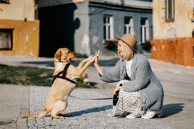 woman high-fiving with her pet dog