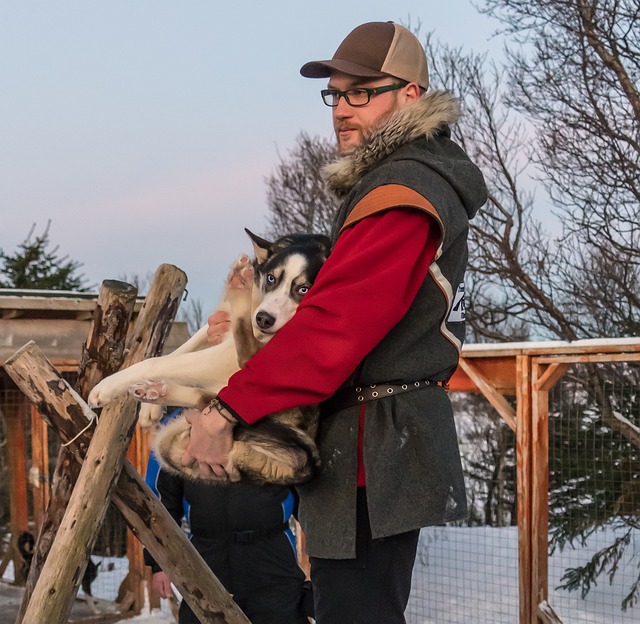 man training his husky