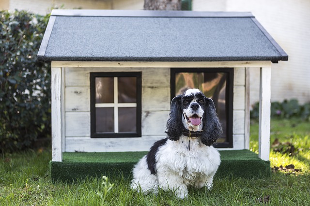 pet kennels