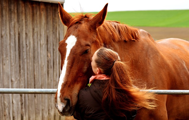 animal love