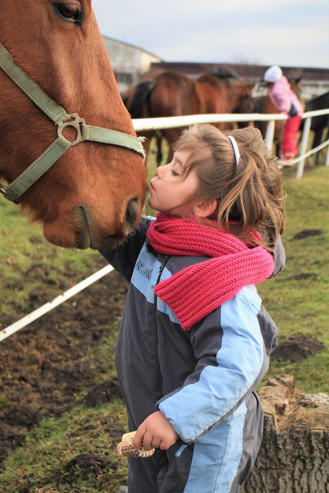 people loving animals 