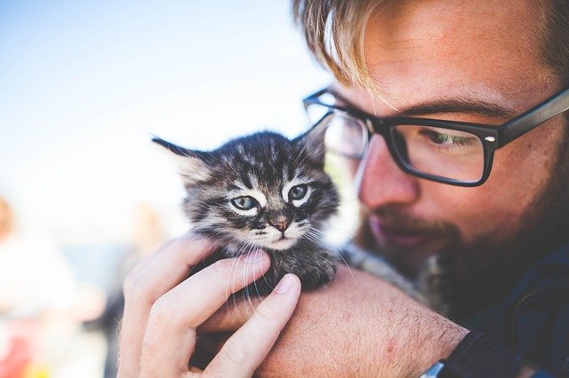 man taking care of his kitten