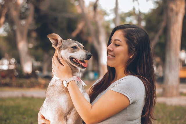 passion and love for dogs