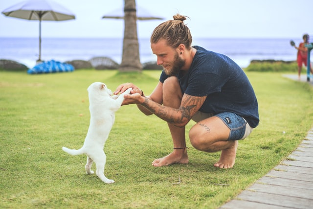 dog trainer
