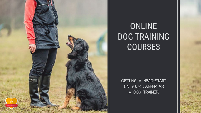 Online Dog Training Courses