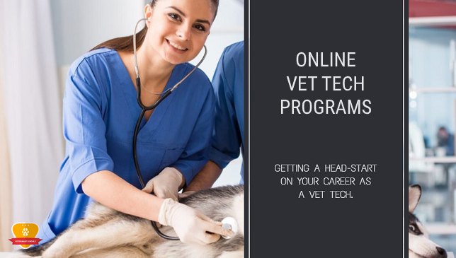 online vet tech programs