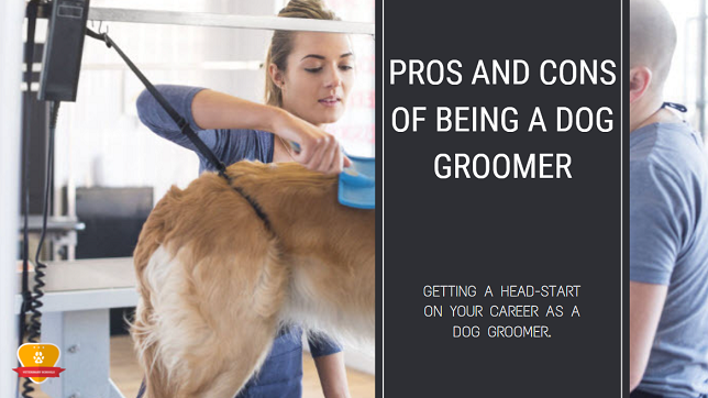 Pros and Cons of Being a Dog Groomer