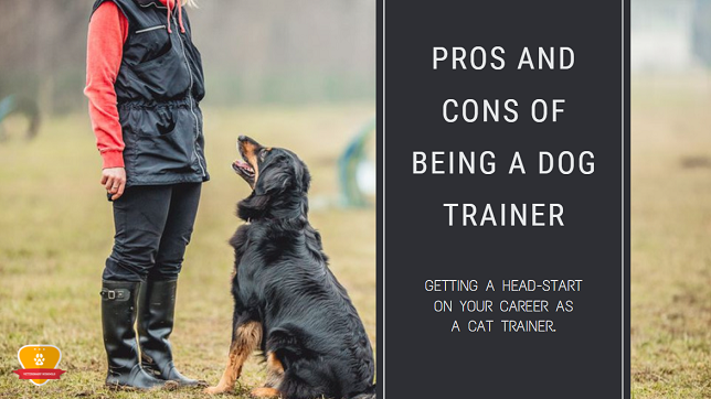 Pros and Cons of Being a Dog Trainer