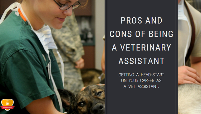 Pros and Cons of Being a Veterinary Assistant