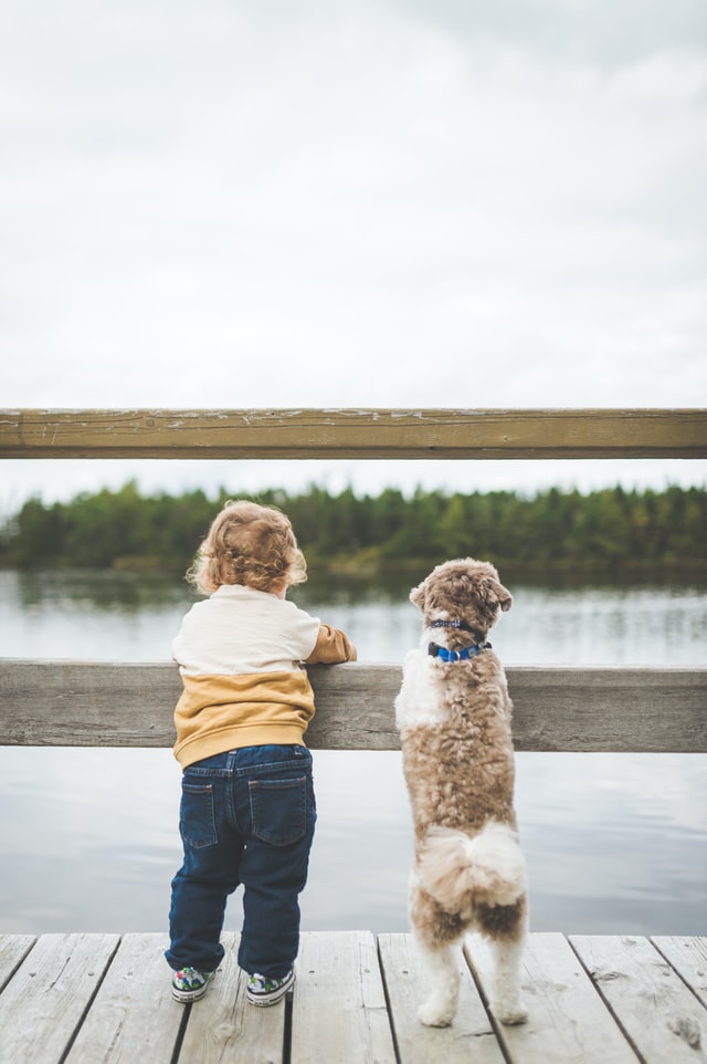 adorable animals and their owners