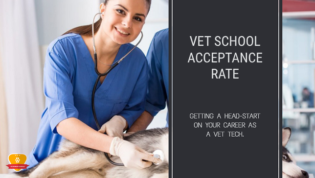 Vet School Acceptance Rate