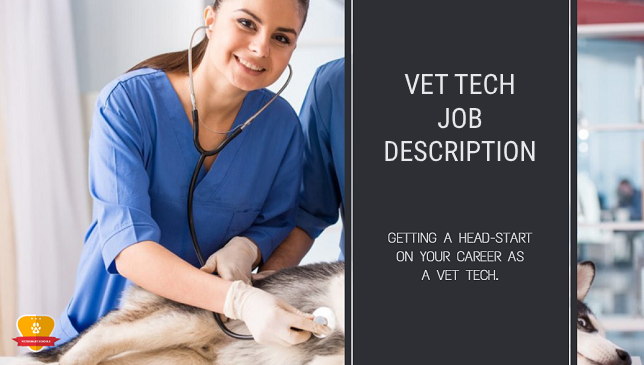 veterinary tech job