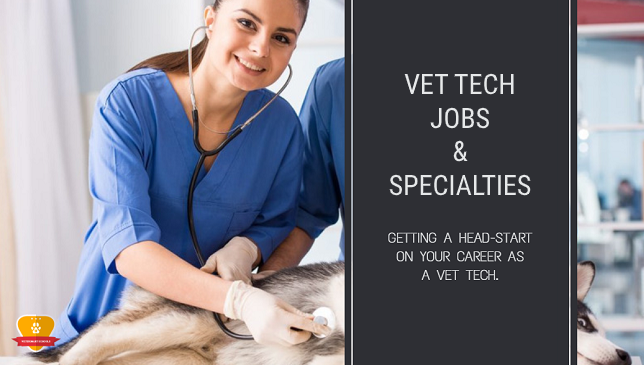 Vet Tech Jobs & Specialties