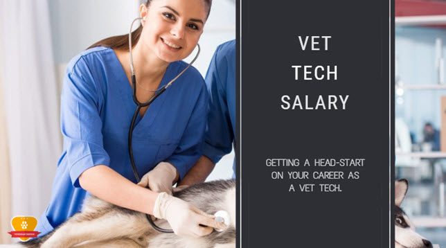 vet tech salary