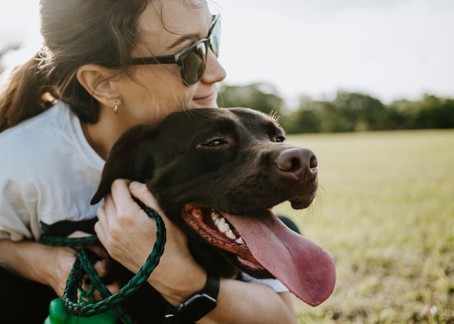 dog lovers becoming dog groomers