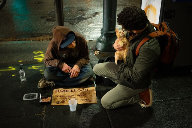 two men showing care for a street cat